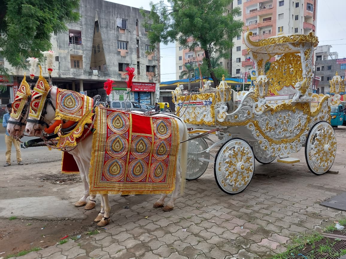 Arjun Rath Bagi horse bagi photo 1 - Anand Gujarat